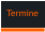 Termine